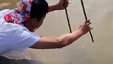 小哥用筷子抓鱼，一抓就是两条大鱼，不知道你还收徒吗