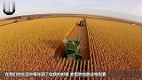 中国山东49岁大叔，发明土豆收割机现在成为亿万富翁
