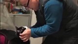 当初不让养猫的人，如今却成了