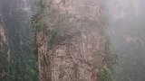 《阿凡达》悬浮山取景地张家界乾坤柱