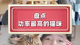 猫咪牌永动机，你值得拥有！