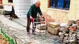 狗狗把挡住奶奶的轮胎叼走，为奶奶保驾护航