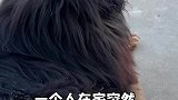论独居女孩养大狗的重要性
