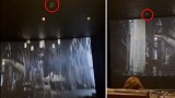 美国一影院在放映电影时 观众释放一只活蝙蝠恶作剧