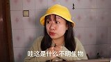 你们有巨物症吗这个大人偶还会眨眼睛