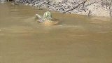 村民抓住了传说中的“水鬼”？它披头散发有气无力，长相让人称奇