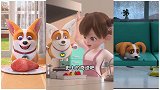 短腿小柯基：一顿操作猛如虎主人是个二百五