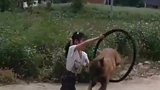 好家伙,可以把前男友送去训练吗