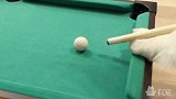 好神奇！一只会打台球的狗，迅速走红