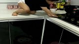 自从生了小情人，家里就没有消停日子了，天天提心吊胆！