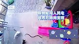 眼镜蛇想攻击女婴，忠犬拼命守护
