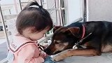 两岁的闺女一来，奶奶家的狗就寸步不离，太有爱了