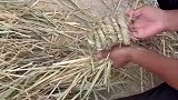 勤劳的农村人，有谁知道这是干嘛