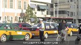 出租车开不坏，是因为比私家车耐用？这4点才是背后真相！