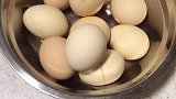 给救助站的几只老狗狗做了一顿饭