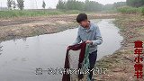 小伙在鱼塘撒八米大网，连续两个爆网，没想到逮到这么多鱼！
