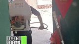 河北邯郸：杨树的花絮满天飞，如同满天飞雪