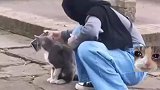 女生找猫猫合影，拍出来的照片出人意料