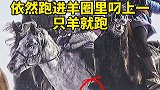 伟大的母爱《全集》民间故事 母亲