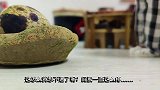 你们吃饭遇到过什么样的不文明现象？迷你厨房带看《红烧鱼上集》
