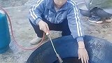 牛人花式烧水，涨见识了