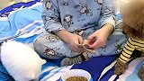 主人故意给泰迪吃肉让嘟嘟吃狗粮，嘟嘟可不是吃素的，直接硬抢