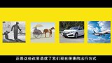 遇到空难时，航空公司为何不准乘客跳伞逃生这一理由意想不到