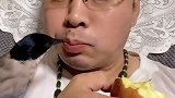 不知道这算不算虎口夺食啊