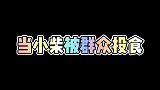 当小柴被群众投食