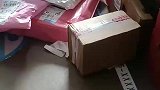 这一幕把人看呆，这快递里面装的是啥