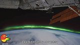 人类消失后，哪种生物会成为地球的统治者？专家：可能是它！