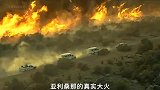 真实故事，森林大火带走的不止是森林，是我们的家人和英雄3