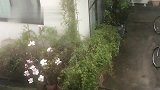 日本设计真是细致到恐怖！普通人室内窗户，不得不佩服！