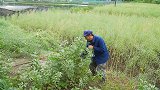 四川方言：老坎玩背叛，两老表齐上当，这个代价有点大！