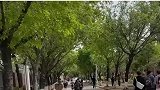 女子骑电动车带人，上坡后座没坐稳