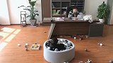 老公带儿子上班，居然这样对他，网友：换成小情人试试！