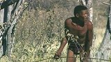 探秘：原始部落，布须曼人狩猎惊险时刻！