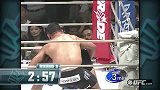 UFC-14年-UFC on Fuel TV 10自由格斗：诺盖拉vs温顿-专题