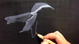 日本写实绘画大佬手绘一条金鱼的过程！配色的最终效果实在是绝了