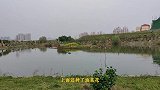 我发现一个像古代陶渊明住的地方，真是世外桃源。
