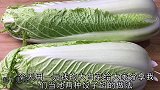 冬至河北喜欢吃白菜馅饺子，一元白菜调两种馅，就着腊八蒜吃真香