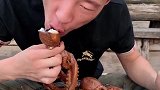 船长吃八爪鱼，锅盖飞起