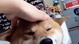 是不是都喜欢这样
