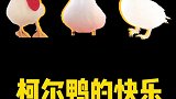 这就是小鸭子的快乐