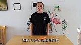 孩子不爱吃胡萝卜？学会这样做，蓬松暄软，好看又好吃