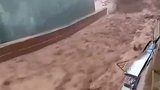 再多等一会鱼就来了