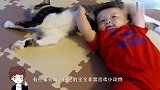 妈妈买了一只小猫，宝宝喜欢的不得了，下一秒却把妈妈吓坏了