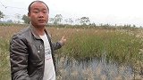 一直有人怀疑我们这边的野钓资源，看完这个视频你就明白了