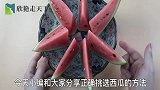 西瓜甜不甜,戳一眼这里就知道,一挑一个准,老瓜农的方法真是好