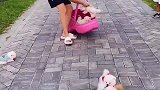 狗太多来不及收